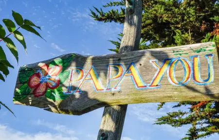 Location Maison 4 personnes à Plouguerneau - Photo 33