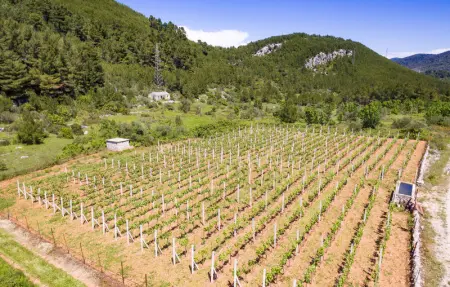 Location Maison 8 personnes à Prigradice - Photo 42