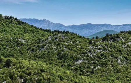 Location Maison 8 personnes à Dicmo - Photo 34