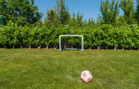 Location Maison 8 personnes à Dicmo - Photo 9