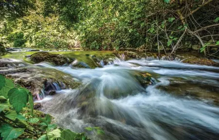 Location Maison 10 personnes à Kucine - Photo 48