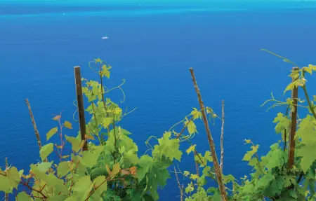 Location Maison 6 personnes à Orebic - Photo 41