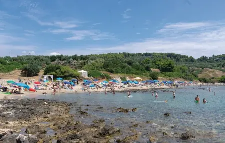 Location Maison 18 personnes à Lumbarda - Photo 50