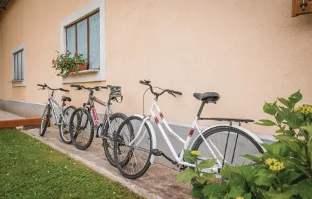 Location Maison 10 personnes à Pazin - Photo 22