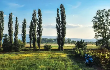 Location Maison 11 personnes à Sinj - Photo 39