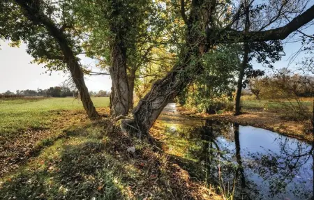 Location Maison 11 personnes à Sinj - Photo 41