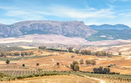 Location Maison 15 personnes à Cañete la Real - Photo 26