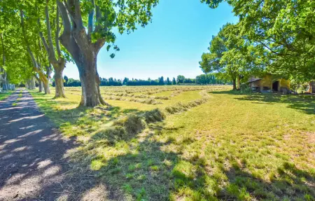 Location Maison 5 personnes à Avignon - Photo 11