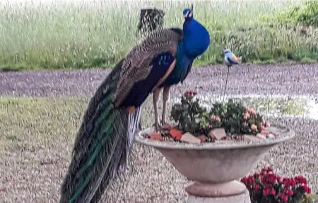 Location Maison 5 personnes à Avignon - Photo 14