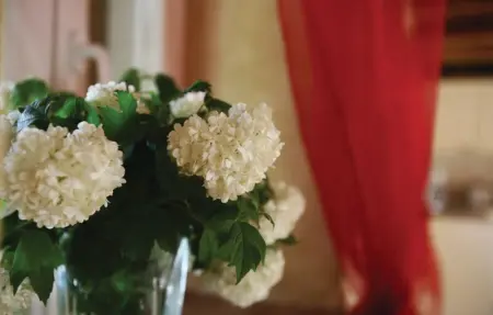 Location Maison 10 personnes à Juricev Kal - Photo 49