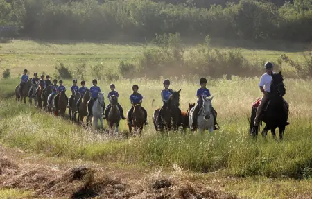 Location Maison 10 personnes à Juricev Kal - Photo 78