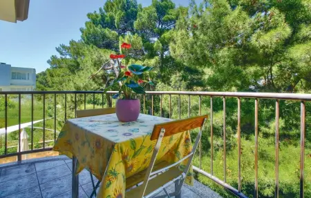 Location Maison 10 personnes à Buje - Photo 4