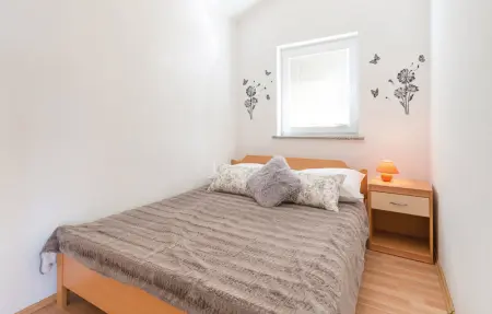 Location Appartement 4 personnes à Povljana - Photo 22