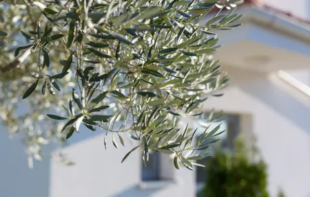 Location Maison 4 personnes à Krk - Photo 35