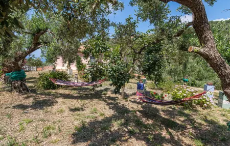 Location Maison 10 personnes à S.Mauro Cilento  SA - Photo 6