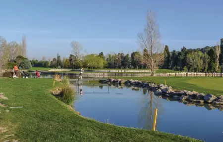 Location Maison 12 personnes à Orgon - Photo 46