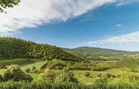 Palazzo Vecchio, Maison 11 personnes à Borgo San Lorenzo FI - Photo 18