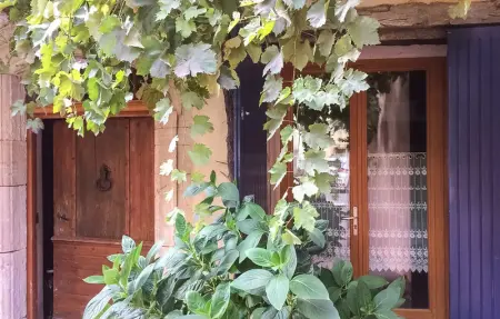 Location Appartement 4 personnes à Villes sur Auzon - Photo 5