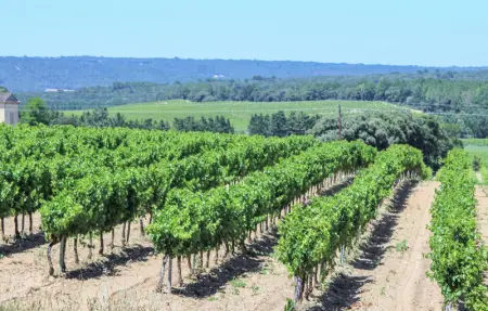 Location Appartement 4 personnes à Villes sur Auzon - Photo 11