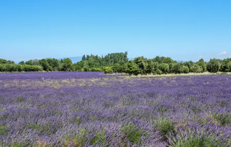 Location Appartement 4 personnes à Villes sur Auzon - Photo 12