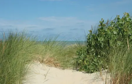 Aphrodite, Appartement 5 personnes à Oostduinkerke - Photo 12