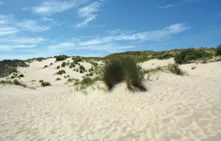 Aphrodite, Appartement 5 personnes à Oostduinkerke - Photo 13