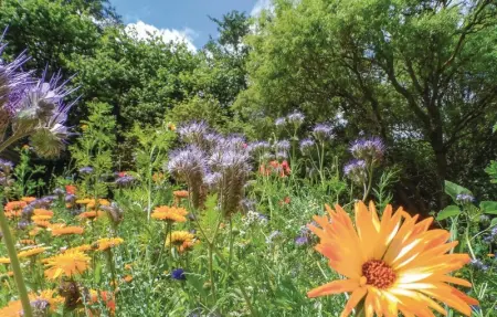 Butterfly, Maison 7 personnes à Ieper - Photo 4