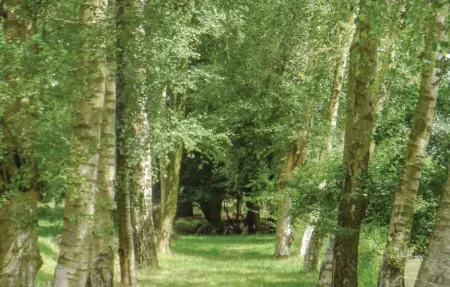 Butterfly, Maison 7 personnes à Ieper - Photo 21