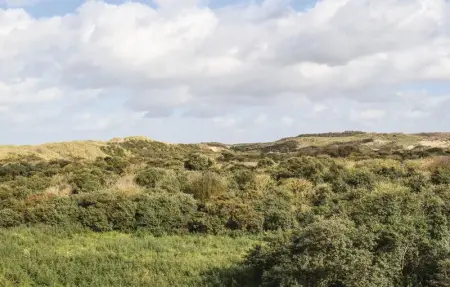VWA  De Panne, Maison 10 personnes à Adinkerke - Photo 19