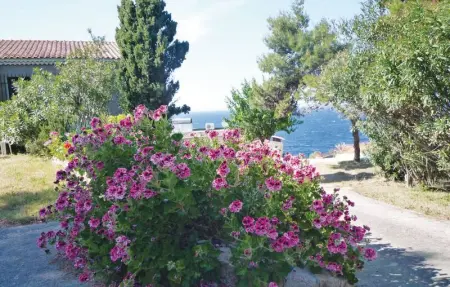 Location Appartement 7 personnes à Calvi - Photo 6