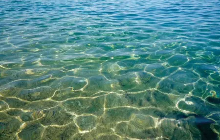 Location Appartement 7 personnes à Calvi - Photo 18