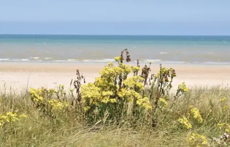 Location Maison 6 personnes à St. Marcouf De L'Isle - Photo 19