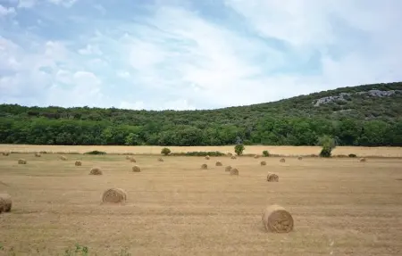 Location Maison 9 personnes à Maubec - Photo 31