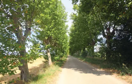 Location Maison 4 personnes à Narbonne - Photo 9