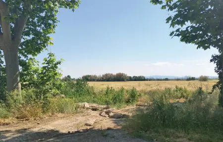 Location Maison 4 personnes à Narbonne - Photo 22