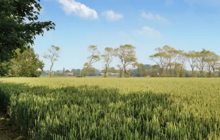 Location Maison 6 personnes à Hames Boucres - Photo 3
