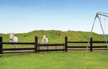 Location Maison 6 personnes à Hames Boucres - Photo 4