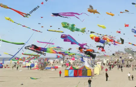 Location Maison 6 personnes à Hames Boucres - Photo 14