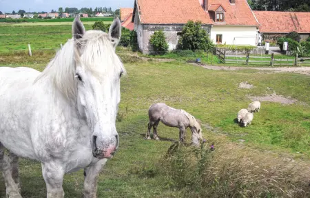 Location Maison 6 personnes à Hames Boucres - Photo 16