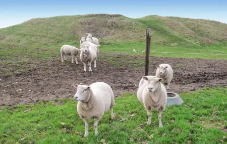 Location Maison 6 personnes à Hames Boucres - Photo 17