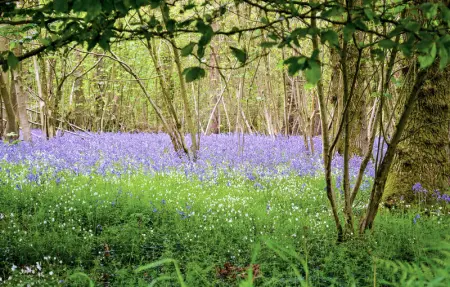 Location Maison 6 personnes à Hames Boucres - Photo 21