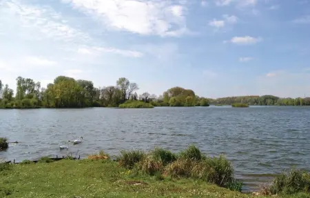 Location Maison 6 personnes à Frise - Photo 18