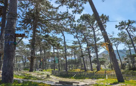 Location Appartement 6 personnes à Calvi - Photo 16