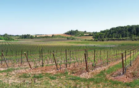 Location Maison 8 personnes à Le Grau d'Agde - Photo 31