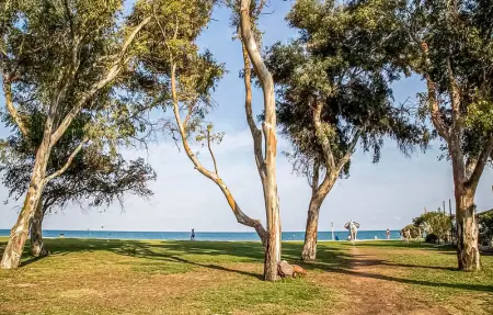 Location Appartement 4 personnes à Oropesa del Mar - Photo 18