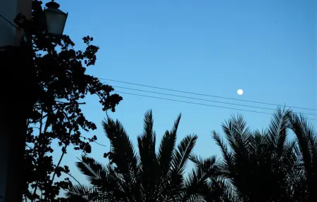 Location Maison 10 personnes à Porreres - Photo 9