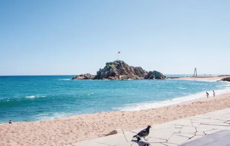 Location Appartement 3 personnes à Blanes - Photo 12