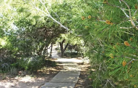 Location Appartement 6 personnes à Guardamar del Segura - Photo 20