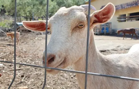 Location Maison 9 personnes à Albacete - Photo 2