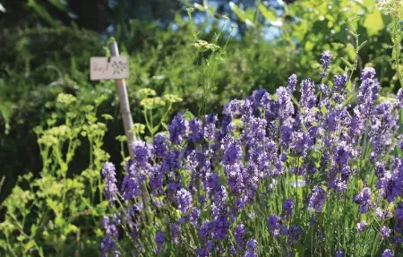 Location Maison 9 personnes à Albacete - Photo 6